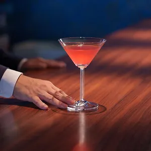 호텔 프리미어 -츠바키- 삿포로